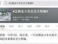 热点爆料话题大全最新版,最新版大全深度解析