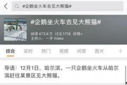 热点爆料话题大全最新版,最新版大全深度解析