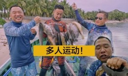 大漠叔叔最新爆料,最新爆料背后的惊人真相