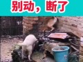 搞笑最新爆料视频,笑到肚子疼！