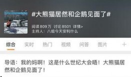 热点爆料话题大全最新版,最新版大全深度解析