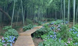 竹林小区新闻爆料最新,业主抗议引发社区关注