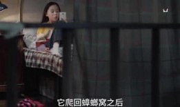 小姐姐最新爆料图片视频,独家图片视频大揭秘！