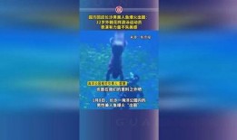 长沙美人鱼爆料最新消息,神秘事件背后真相揭晓