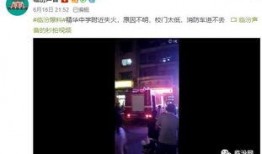 最新高校爆料视频,校园生活新视角