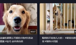 抖音狗崽爆料视频大全最新,揭秘网红幕后故事